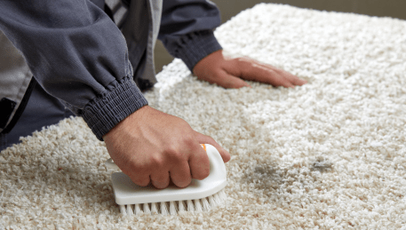 Professional Rug Cleaning Wandong